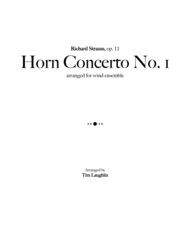 Horn Concerto No. 1 (R. Strauss