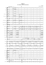 "Bolivar" for trombone with the wind orchestra Sheet Music by Cook Eric