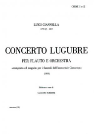 Concerto lugubre [do minore] : per flauto e orchestra