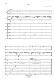 Elegy Sheet Music by Dr Anthony Costandius