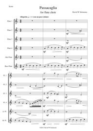Passacaglia for flute sextet or flute choir Sheet Music by David Warin Solomons