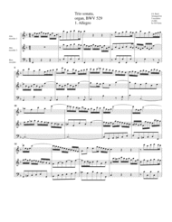 Trio sonata for organ