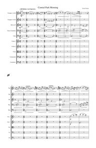 Central Park Morning Orchestra & Brass Quintet Version Sheet Music by David Chesky